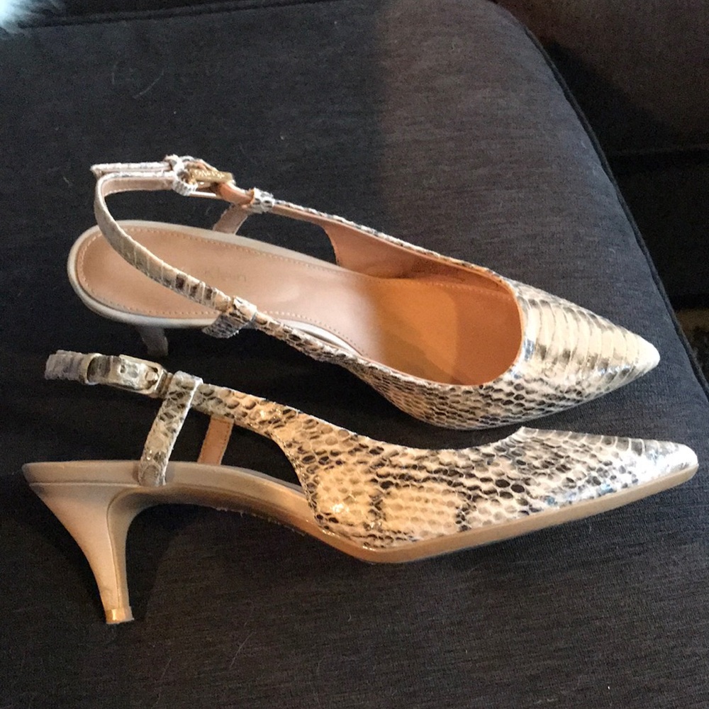Pumps - Picture 2 of 2